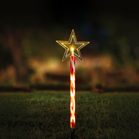 Solar Candy Stake Star