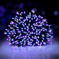 11.9m Enchanted Fairy String Lights