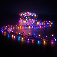 29m Carnival Cluster/Firecracker Strings