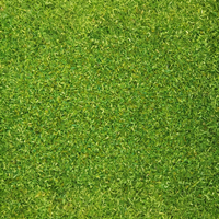 Noch 08410 Scatter Material - Light Green