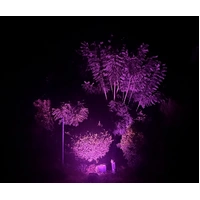 100W Purple LED Flood Light