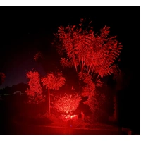 100W Red Flood Light 