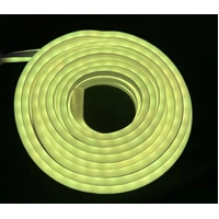 10m Neon Flex RGB Chasing Rope Light