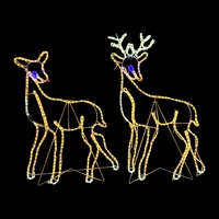 Two Reindeer Rope Light Motif 