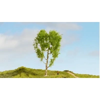 NOCH 20125 - Downy Birch Tree - 21cm high