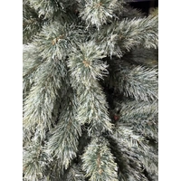 6 Foot Blue Appalachian Pine Christmas Tree