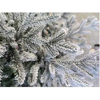 6 Foot Regal Fir Flocked Christmas Tree