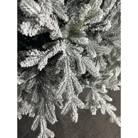 7.5 Foot Norway Spruce Christmas Tree