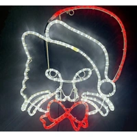 Christmas Cat Rope Light Motif 