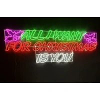 ALL I WANT FOR CHRISTMAS IS YOU Rope Light Motif