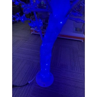 1.8m Blue Cherry Tree