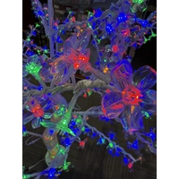 1.8m Multi Cherry Tree