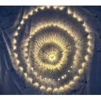 Round Warm White Net Light- 2m diameter
