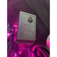 10m Pink LED String