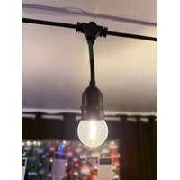 10M Warm White Festoon Strings-  24V