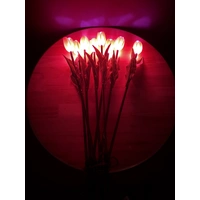 Set of 8 Pink Tulips