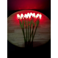Set of 8 Red Tulips 