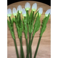 Set of 8 White Tulips 