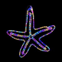 RGB Starfish Rope Light Motif 