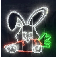 Rabbit with Carrot Rope Light Motif
