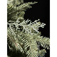 6 Foot Slim Green River Spruce Christmas Tree