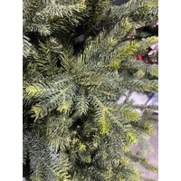 6 Foot Slender Blackford Fir Christmas Tree