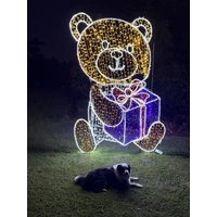 3m Teddy Bear Rope Light Motif 
