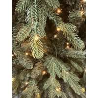 7.5  Foot Warm White/Multi Lit Fraser Hill Christmas Tree
