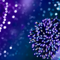 11.9m Enchanted Fairy String Lights