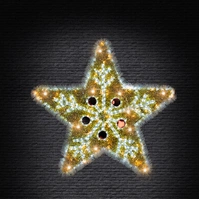 Tinsel Star Snowflake Rope Light Motif