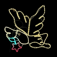 Dove with Star Rope Light Motif 