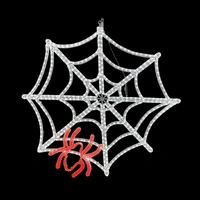 Halloween Spider Web Rope Light Motif