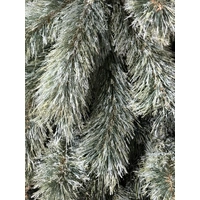 6 Foot Blue Appalachian Pine Christmas Tree
