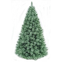 8 Foot Blue Appalachian Pine Christmas Tree