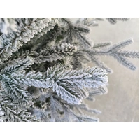 6 Foot Regal Fir Flocked Christmas Tree