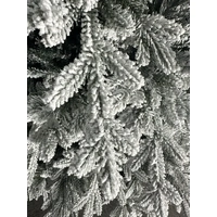 7.5 Foot Norway Spruce Christmas Tree