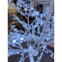 1.8m White Cherry Tree