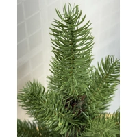 60cm Green Pine Potted Christmas Tree