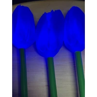 Set of 8 Blue Tulips