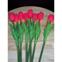 Set of 8 Pink Tulips