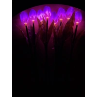 Set of 8 Purple Tulips 