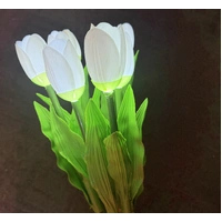 Set of 8 White Tulips 