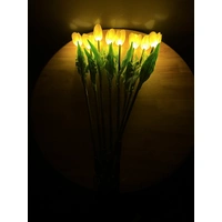 Set of 8 Yellow Tulips 