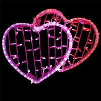 Two Hearts Rope Light Motif