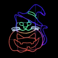 Cat in Pumpkin/Hat Halloween Rope Light Motif 
