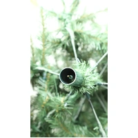 3M Lit PVC Tree with 1200 Bulbs  (see video)