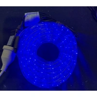 10M Blue LED Rope Light - 36V 