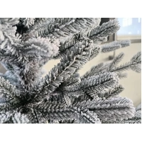 6 Foot Regal Fir Flocked Christmas Tree