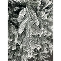 7.5 Foot Norway Spruce Christmas Tree