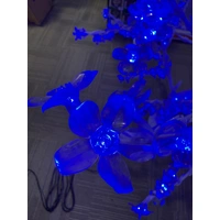 1.8m Blue Cherry Tree